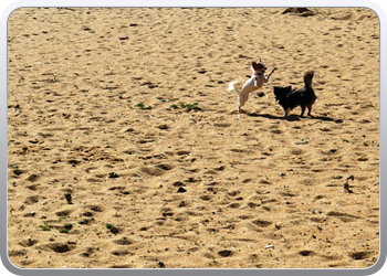 007 Spelen op het strand van Vilamoura (5)