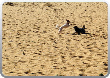 007 Spelen op het strand van Vilamoura (6)