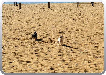 007 Spelen op het strand van Vilamoura (7)