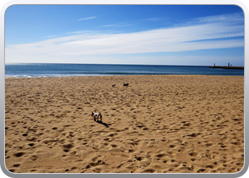 007 Spelen op het strand van Vilamoura (9)