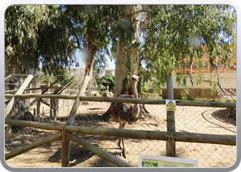 001 Dierenparkje Ayamonte (1)