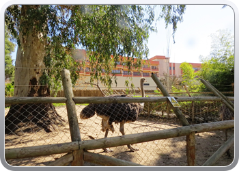 001 Dierenparkje Ayamonte (2)