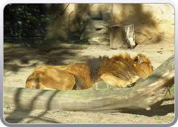 001 Dierenparkje Ayamonte (4)