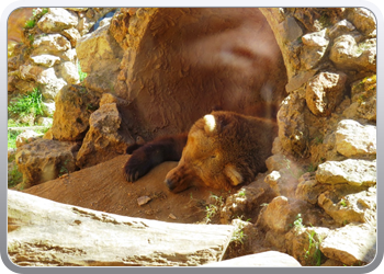 001 Dierenparkje Ayamonte (8)