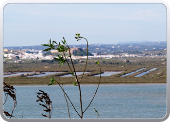 008 Ayamonte (10)