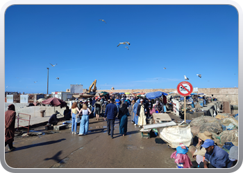 055 Essaouira de haven (1)