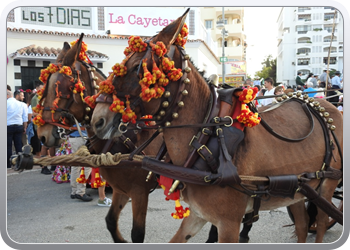 010aFeria Rosaria in Fuengirola (61)