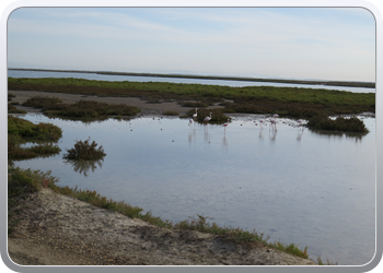 020 Op weg naar plage Piemanson (1)