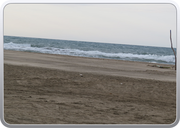 021 plage piemanson port st louis (10)