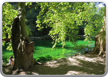 026 Fontaine de la Vaucluse (13)