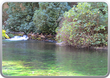 026 Fontaine de la Vaucluse (14)