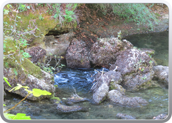 026 Fontaine de la Vaucluse (30)