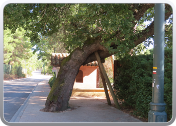 028 Roussillon (45)